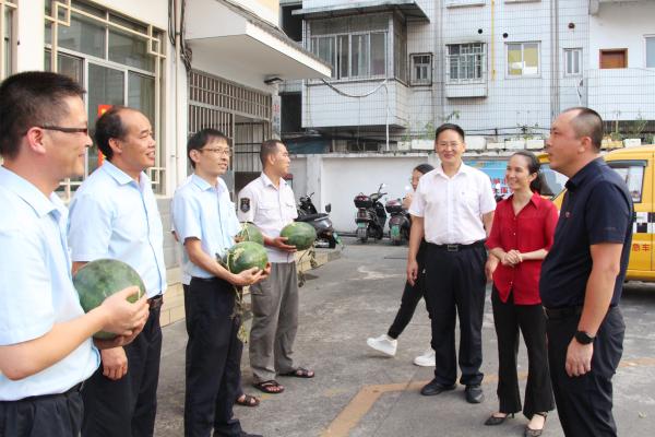 澳门金牌资料网