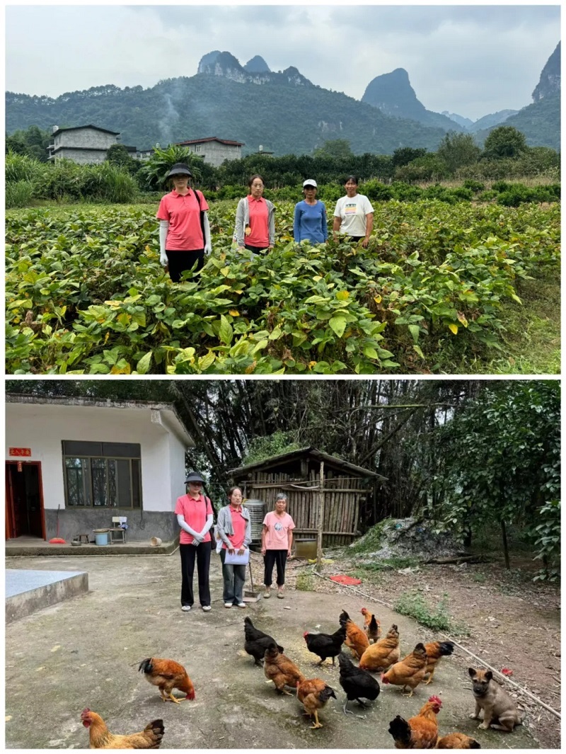 澳门金牌资料网